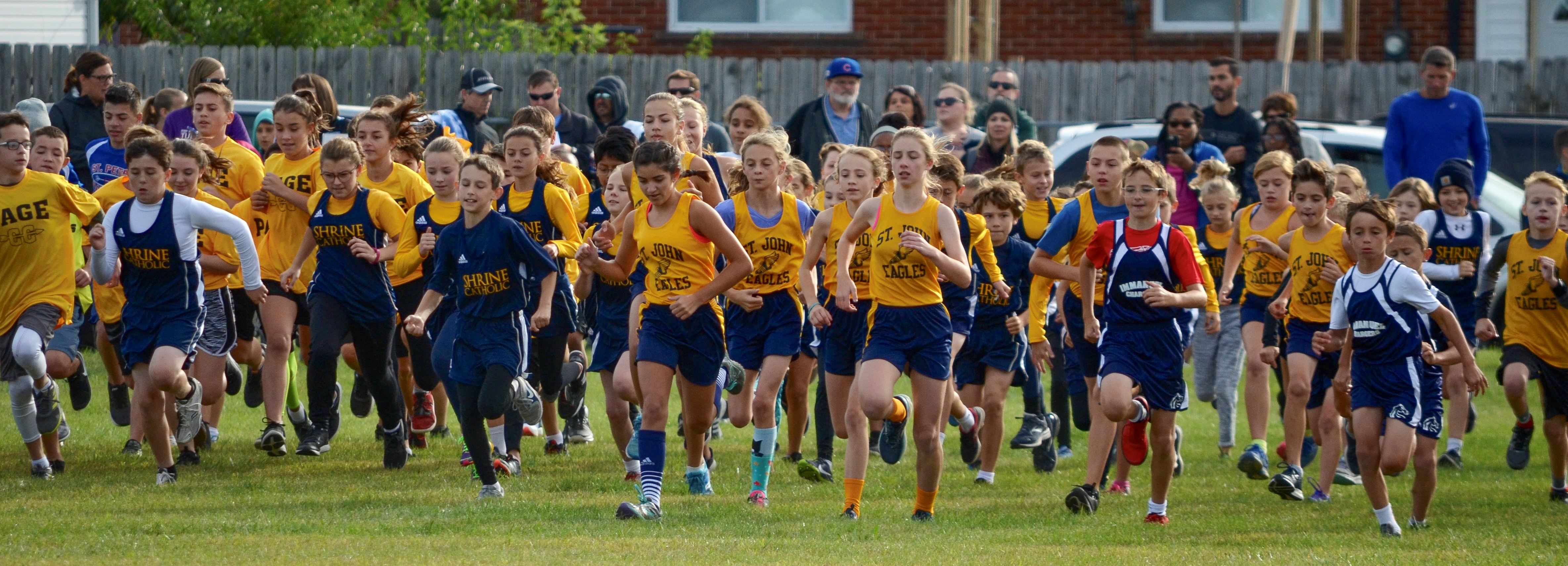 Cross Country Michigan District, LCMS